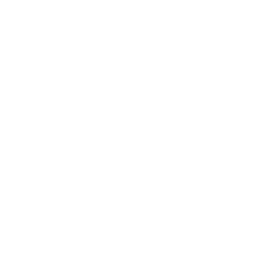 Logo Raphaela Ribeiro (escura)